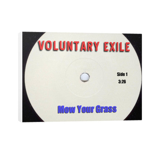 Horizontal Canvas 24x18 - Voluntary Exile