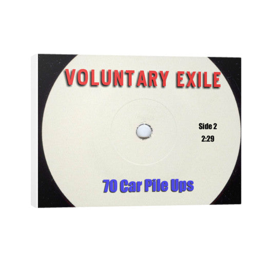 Horizontal Canvas 24x18 - Voluntary Exile