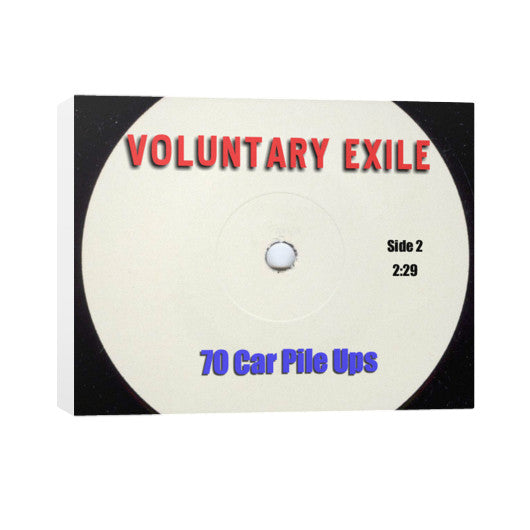 Horizontal Canvas 30x24 - Voluntary Exile
