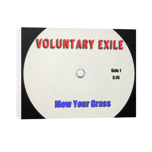Horizontal Canvas 30x24 - Voluntary Exile