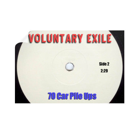 Horizontal Wall Decals 36x24 - Voluntary Exile