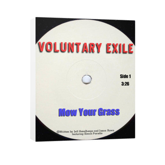 Vertical Canvas 24x30 - Voluntary Exile