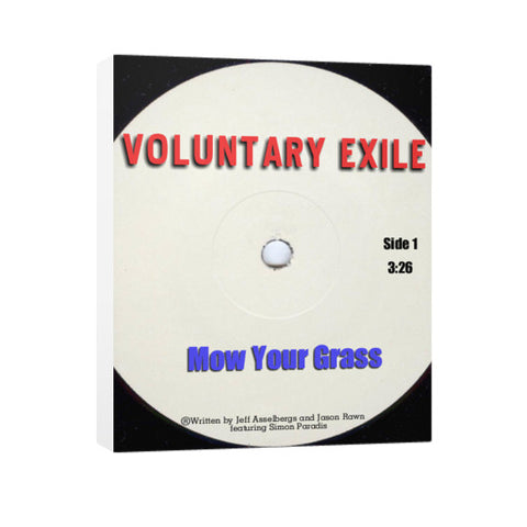 Vertical Canvas 24x30 - Voluntary Exile